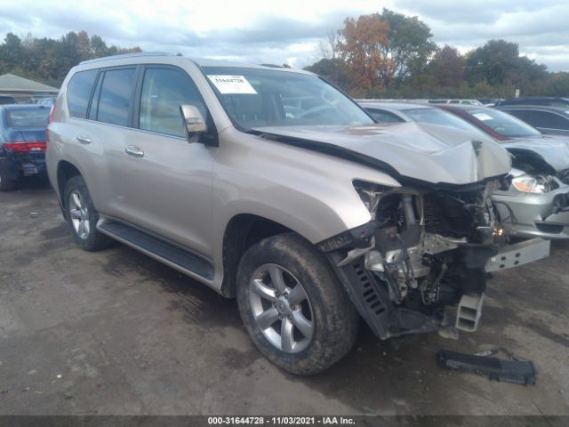 LEXUS GX 460 2010 jtjbm7fx2a5016714