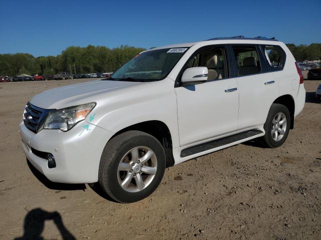 LEXUS GX 460 2011 jtjbm7fx2b5019548