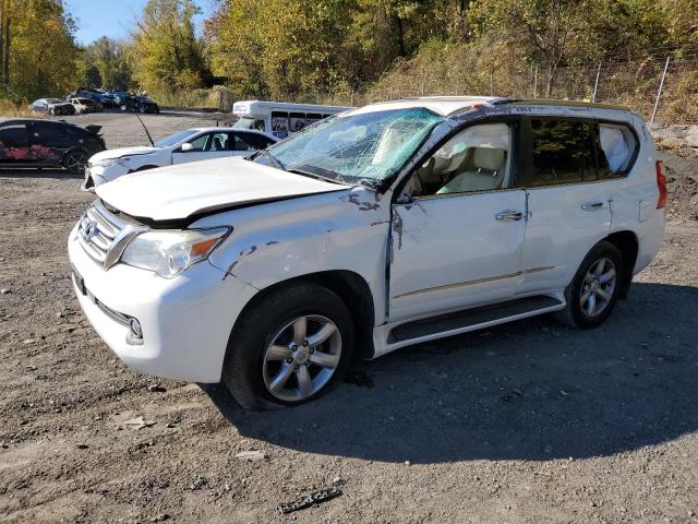 LEXUS GX 460 2012 jtjbm7fx2c5046301