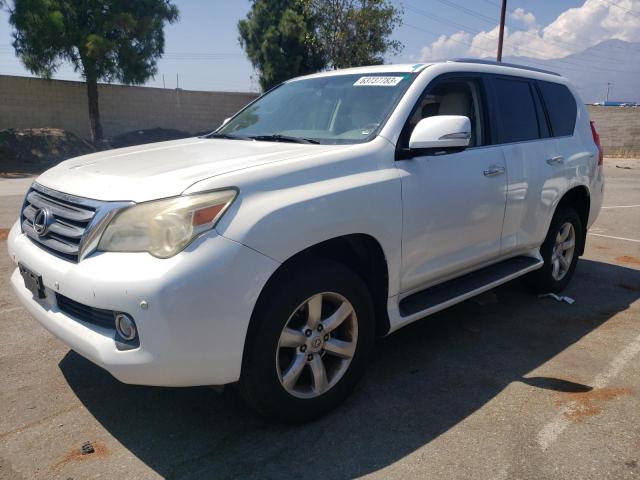 LEXUS GX 460 2010 jtjbm7fx3a5001980