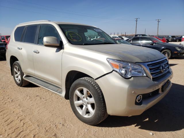 LEXUS GX 460 2010 jtjbm7fx3a5005141