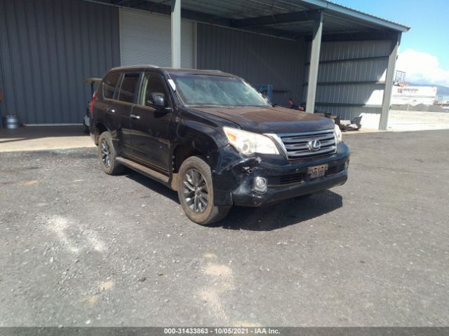 LEXUS GX 460 2010 jtjbm7fx3a5005396