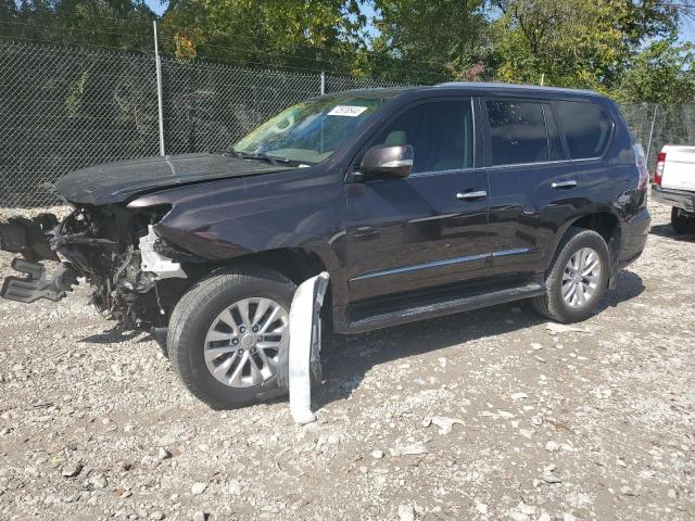 LEXUS GX 460 2014 jtjbm7fx3e5074711