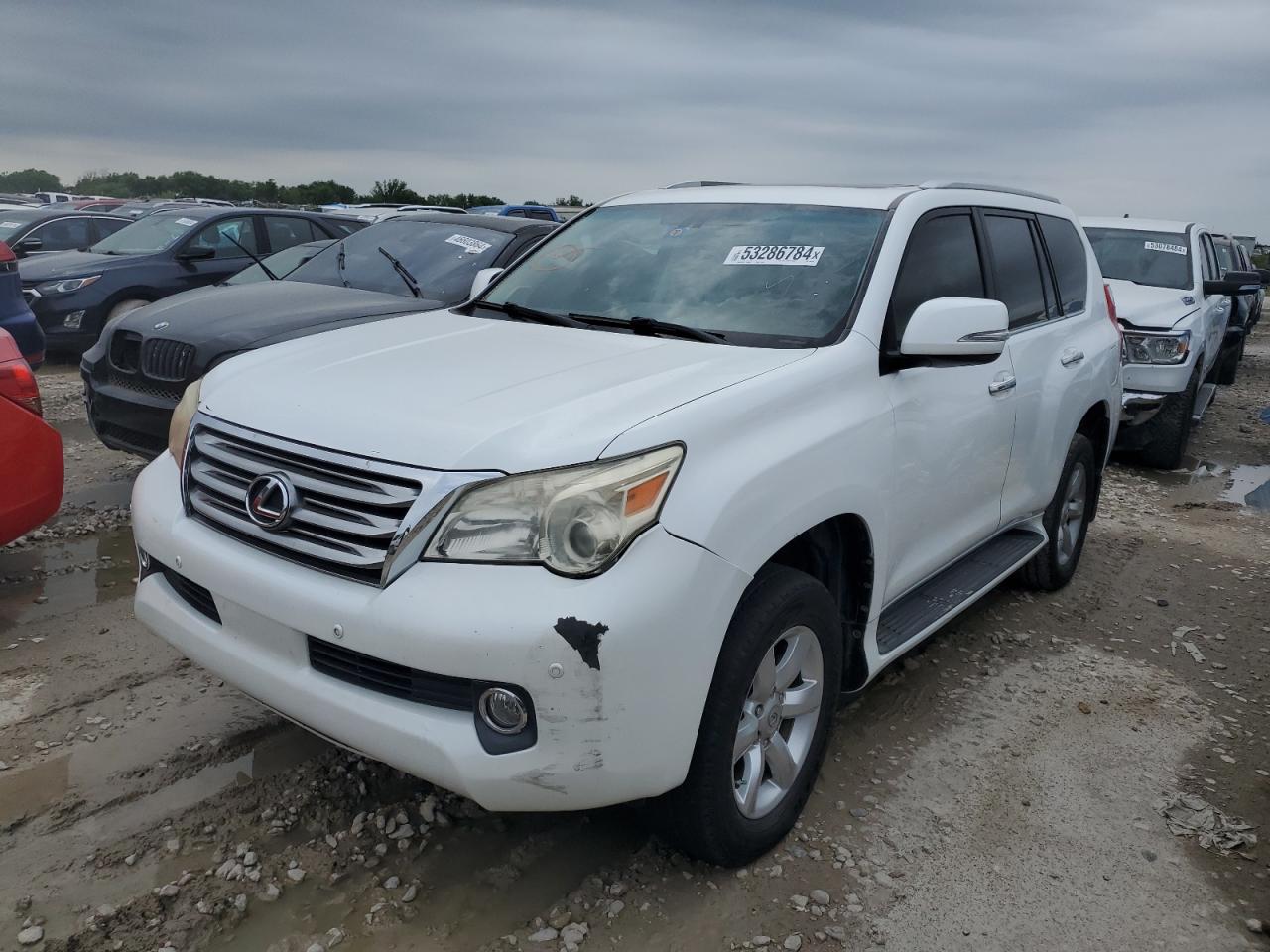 LEXUS GX 2010 jtjbm7fx4a5004256