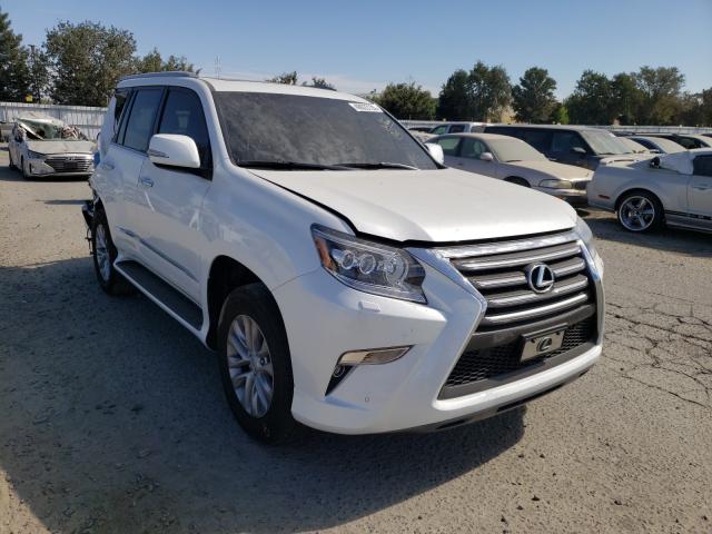 LEXUS NULL 2019 jtjbm7fx4k5235689