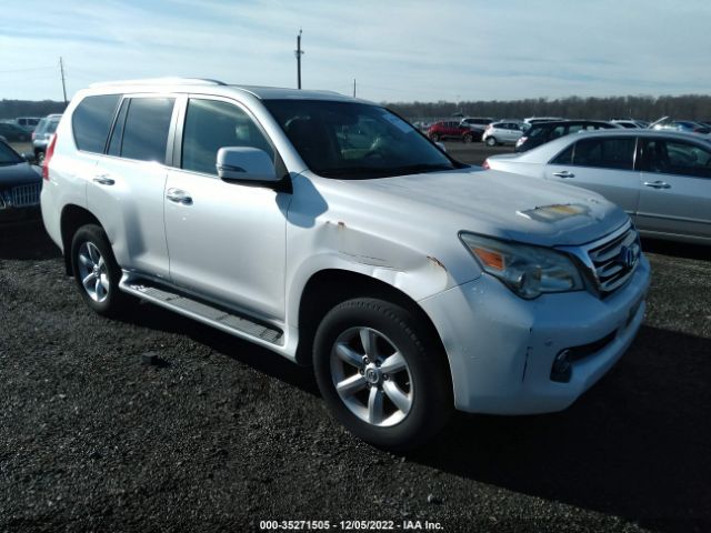 LEXUS GX 460 2010 jtjbm7fx5a5006887