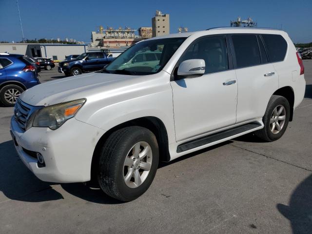 LEXUS GX 460 2011 jtjbm7fx5b5021729