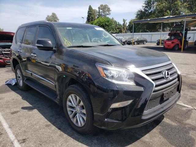 LEXUS GX 460 2019 jtjbm7fx5k5213801