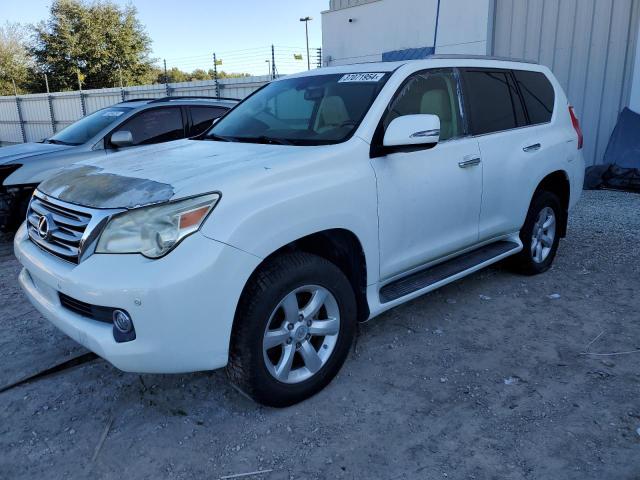 LEXUS GX 2010 jtjbm7fx6a5012102