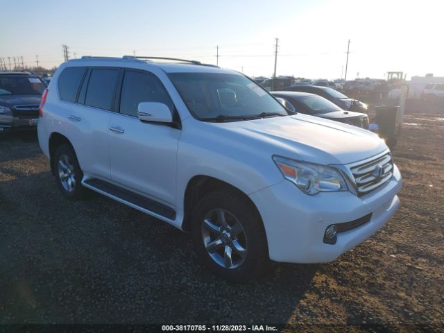 LEXUS GX 460 2010 jtjbm7fx6a5012522