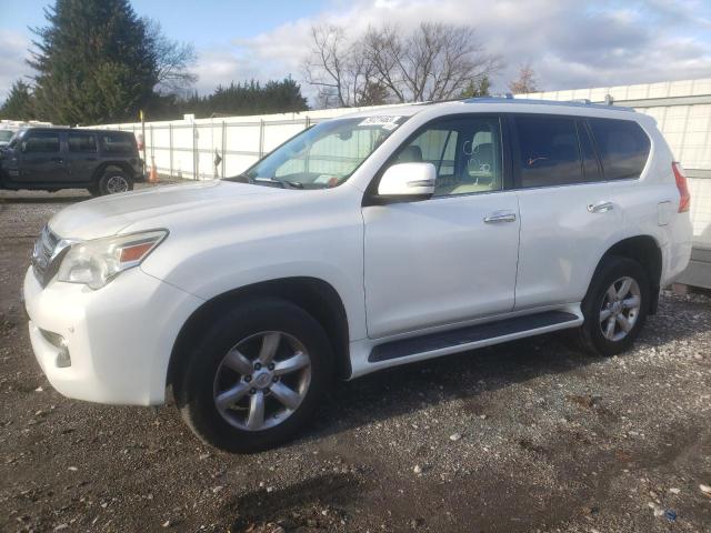 LEXUS GX 2011 jtjbm7fx6b5020282