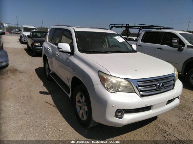 LEXUS GX 460 2010 jtjbm7fx7a5003621