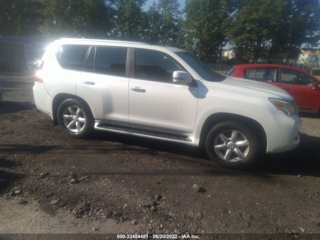 LEXUS GX 460 2010 jtjbm7fx7a5008348