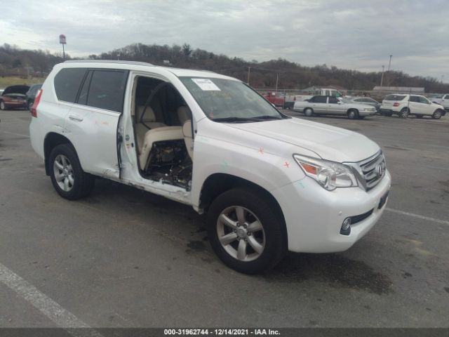 LEXUS GX 460 2010 jtjbm7fx7a5015980