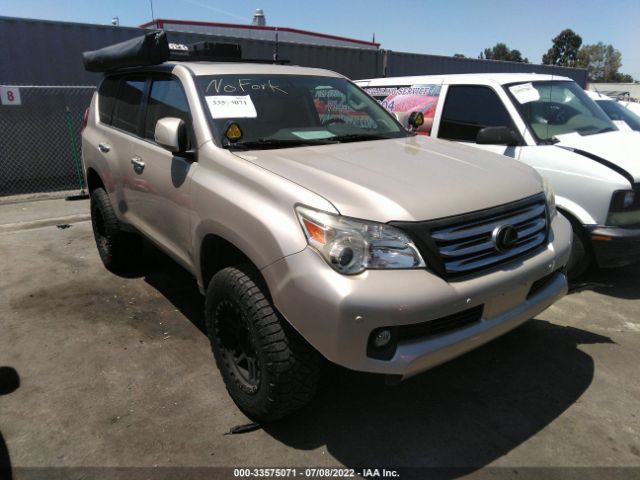 LEXUS GX 460 2010 jtjbm7fx7a5016160