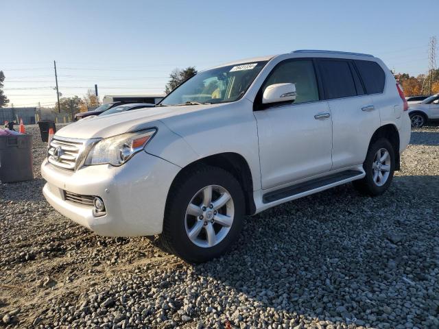 LEXUS GX 460 2011 jtjbm7fx8b5021823