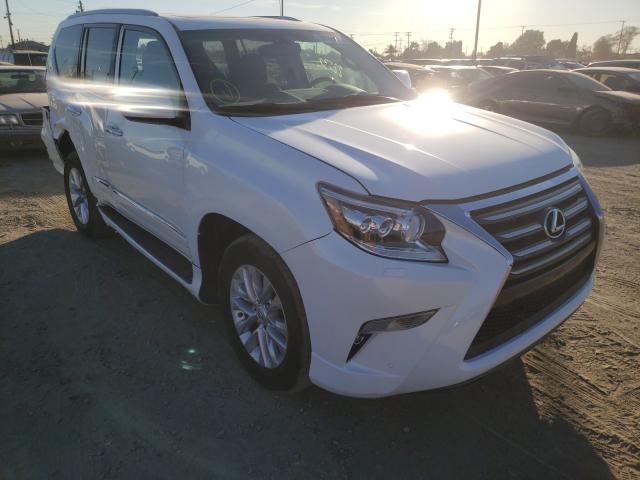 LEXUS GX 460 2019 jtjbm7fx8k5219334