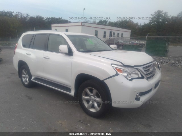 LEXUS GX 460 2010 jtjbm7fx9a5002051