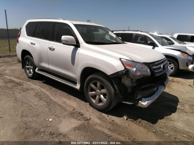 LEXUS GX 460 2011 jtjbm7fxxb5024013