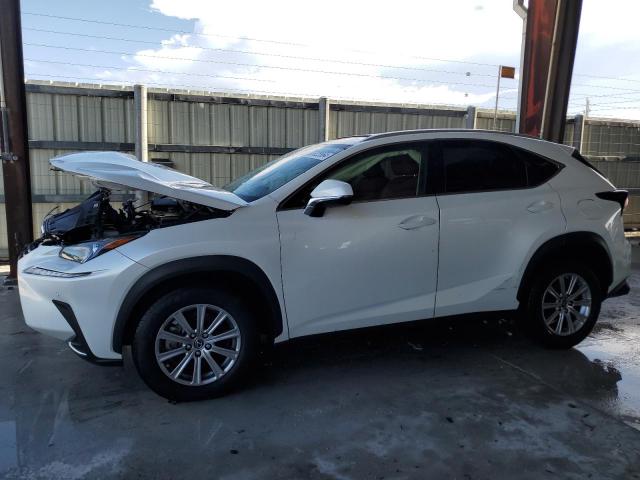 LEXUS NX 300 BAS 2021 jtjdarbz1m2179445