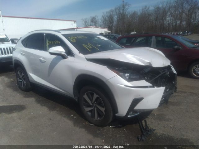 LEXUS NX 2021 jtjdarbz1m5031441