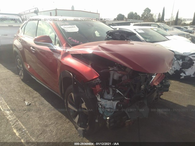 LEXUS NX 2020 jtjdarbz2l5006529