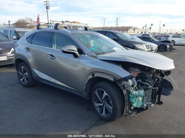 LEXUS NX 2020 jtjdarbz2l5013254