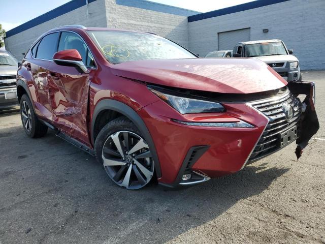 LEXUS NX 300 2020 jtjdarbz4l5005110