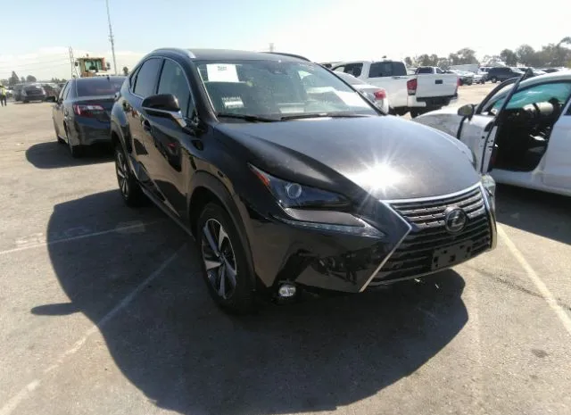 LEXUS NX 2020 jtjdarbz4l5007469