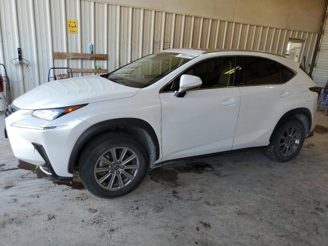 LEXUS NX 300 2020 jtjdarbz5l5019212