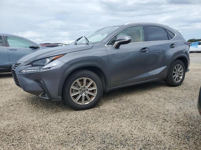 LEXUS NX 300 2020 jtjdarbz6l2171517