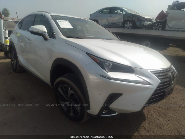 LEXUS NX 2020 jtjdarbz8l5003036