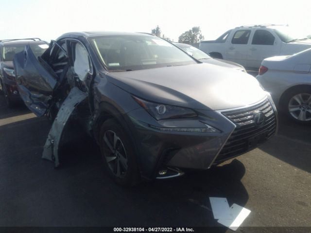 LEXUS NX 2020 jtjdarbz8l5004560