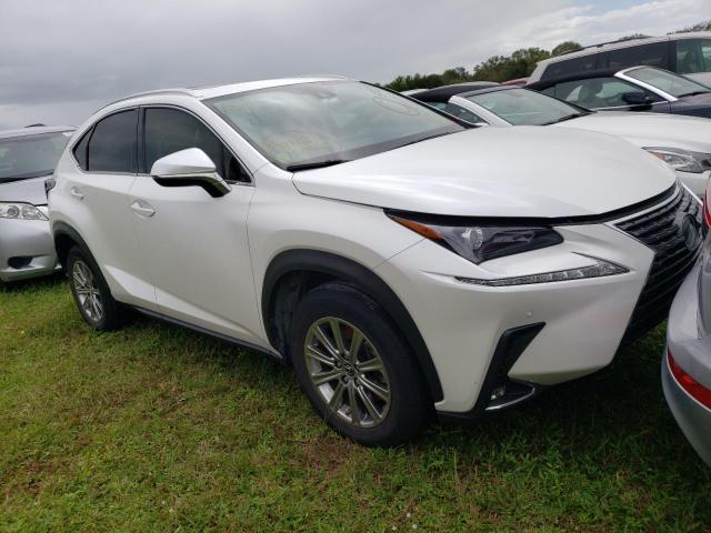 LEXUS NX 300 2020 jtjdarbz8l5009256