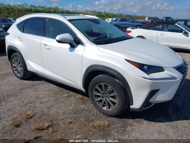 LEXUS NX 2020 jtjdarbz8l5013792