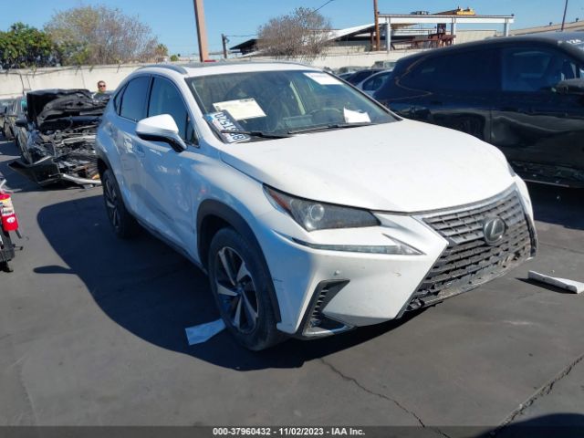 LEXUS NX 2020 jtjdarbz9l5008410