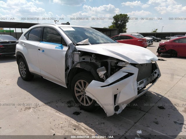 LEXUS NX 2020 jtjdarbz9l5016734