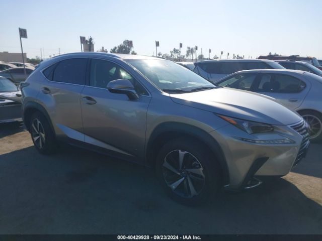 LEXUS NX 2020 jtjdarbzxl2163887