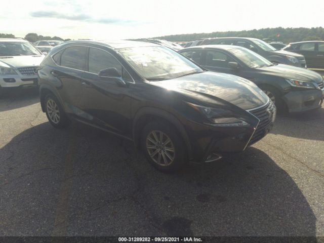 LEXUS NX 2020 jtjdardz0l5007644