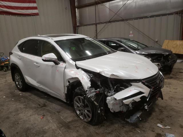 LEXUS NX 300 BAS 2021 jtjdardz1m5024504