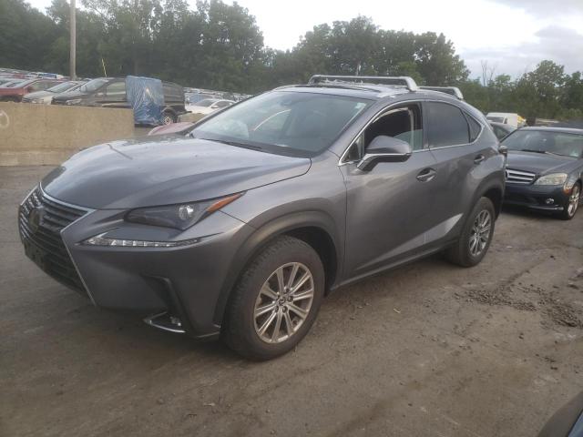 LEXUS NX 300 2019 jtjdardz4l5011888