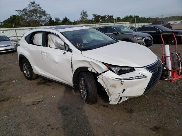 LEXUS NX 300 2020 jtjdardz5l5015965