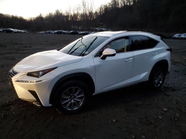 LEXUS NX 2021 jtjdardz5m5026613