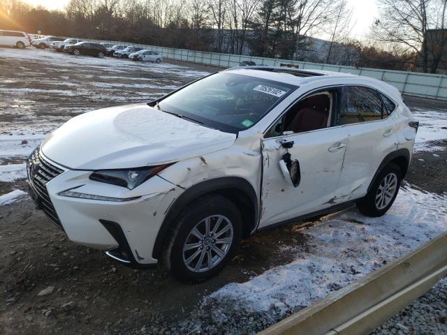 LEXUS NX 2020 jtjdardz6l5000553