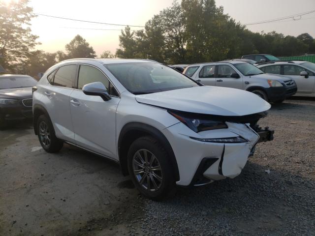 LEXUS NX 2020 jtjdardz6l5004358