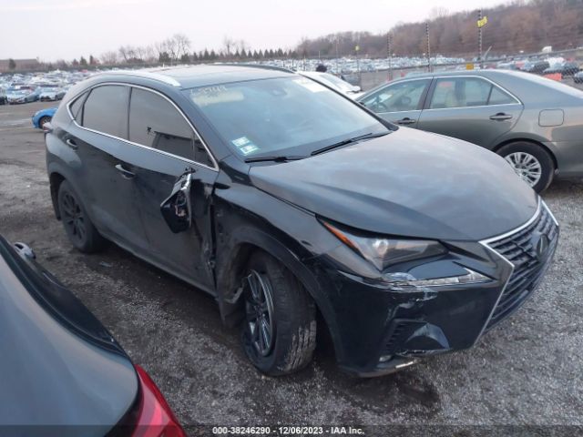 LEXUS NX 2020 jtjdardz6l5008734