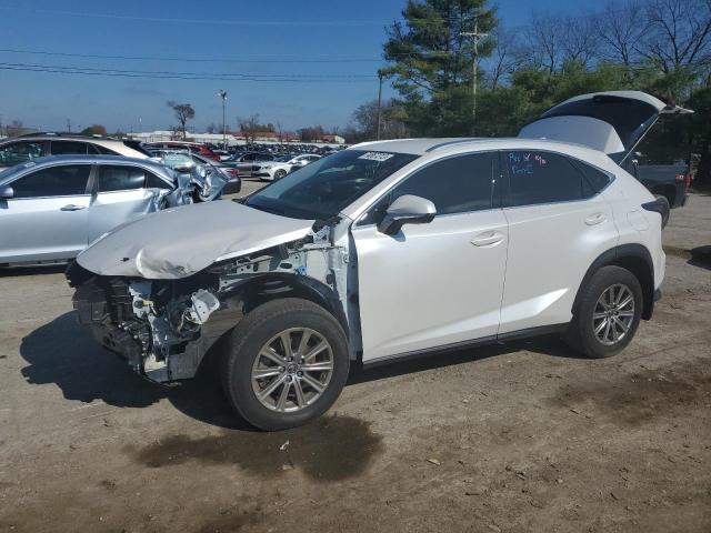 LEXUS NX 2020 jtjdardz6l5018728