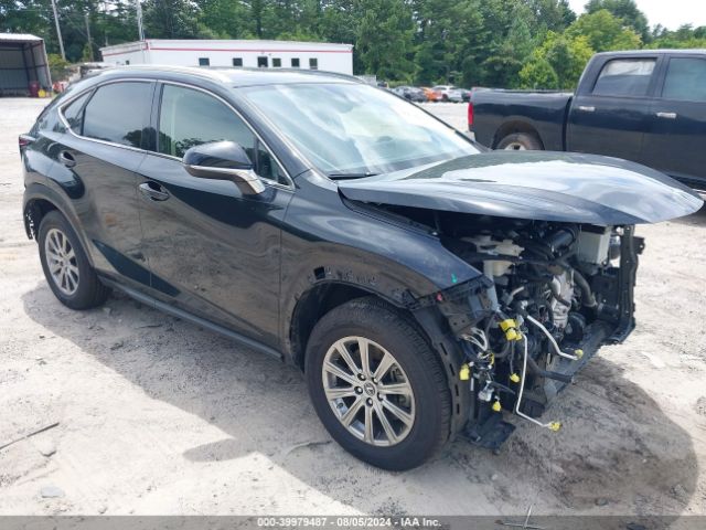 LEXUS NX 2020 jtjdardz7l2225629