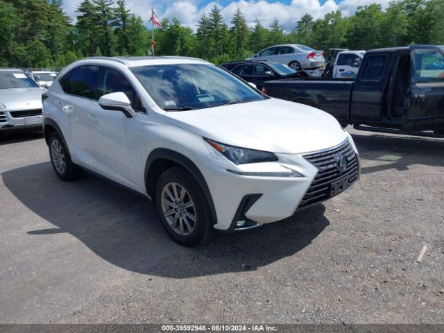 LEXUS NX 2020 jtjdardz7l5015725