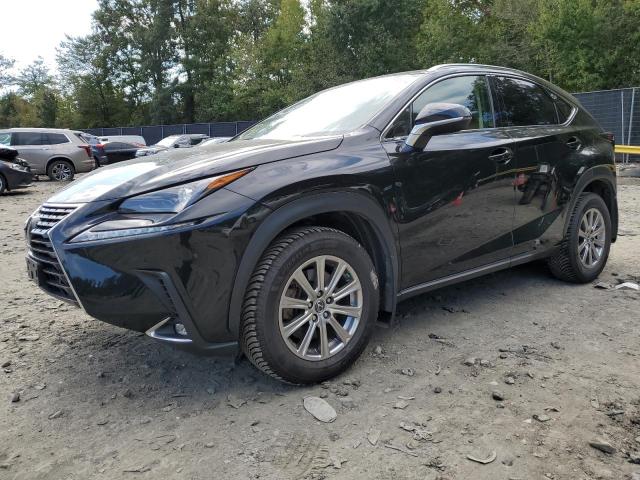 LEXUS NX 2020 jtjdardz8l5008993